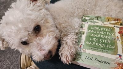 Lidé, kteří mají rádi psy, mají rádi lidi, kteří mají rádi psy