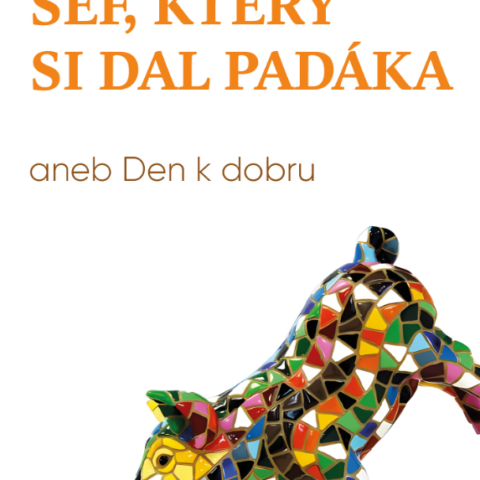 Michal Čagánek si dal padáka, román, o tom, jak mít den k dobru