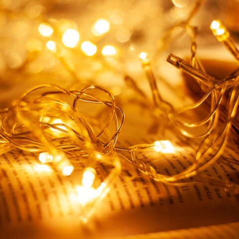 KNIHOMOLSKÉ OKÉNKO, aneb spisovatelé a básníci narozeni 1. února