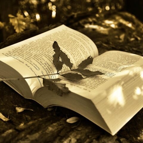 KNIHOMOLSKÉ OKÉNKO, aneb spisovatelé a básníci narozeni 3. února