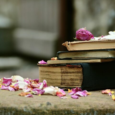 KNIHOMOLSKÉ OKÉNKO, aneb spisovatelé a básníci narozeni 4. února