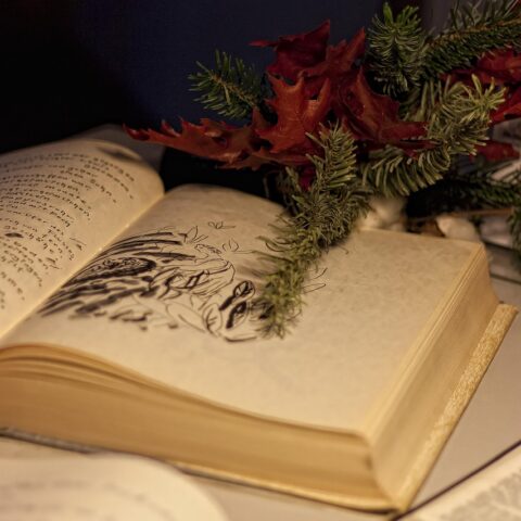 KNIHOMOLSKÉ OKÉNKO, aneb spisovatelé a básníci narozeni 5. února