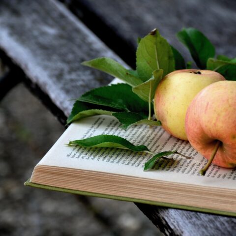 KNIHOMOLSKÉ OKÉNKO, aneb spisovatelé a básníci narozeni 6. února