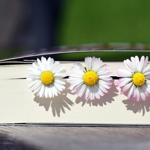 KNIHOMOLSKÉ OKÉNKO, aneb spisovatelé a básníci narozeni 11. února