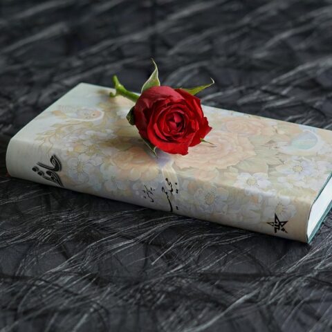 KNIHOMOLSKÉ OKÉNKO, aneb spisovatelé a básníci narozeni 12. února