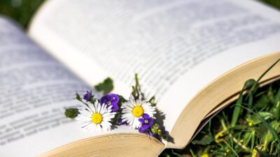 KNIHOMOLSKÉ OKÉNKO, aneb spisovatelé a básníci narozeni 13. února