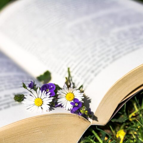 KNIHOMOLSKÉ OKÉNKO, aneb spisovatelé a básníci narozeni 13. února