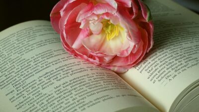 KNIHOMOLSKÉ OKÉNKO, aneb spisovatelé a básníci narozeni 14. února