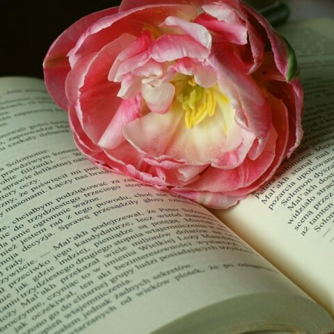 KNIHOMOLSKÉ OKÉNKO, aneb spisovatelé a básníci narozeni 14. února