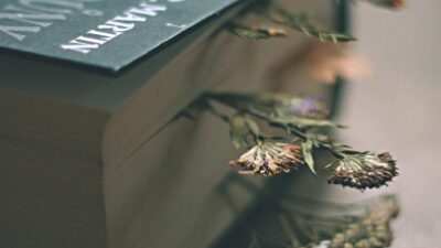 KNIHOMOLSKÉ OKÉNKO, aneb spisovatelé a básníci narozeni 17. února