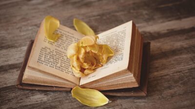 KNIHOMOLSKÉ OKÉNKO, aneb spisovatelé a básníci narozeni 18. února