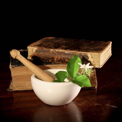 KNIHOMOLSKÉ OKÉNKO, aneb spisovatelé a básníci narozeni 21. ledna