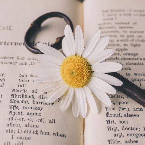 KNIHOMOLSKÉ OKÉNKO, aneb spisovatelé a básníci narozeni 21. února