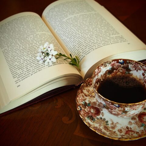 KNIHOMOLSKÉ OKÉNKO, aneb spisovatelé a básníci narozeni 23. února