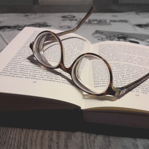 KNIHOMOLSKÉ OKÉNKO, aneb spisovatelé a básníci narozeni 25. února