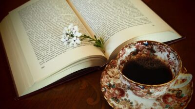 KNIHOMOLSKÉ OKÉNKO, aneb spisovatelé a básníci narozeni 26. února