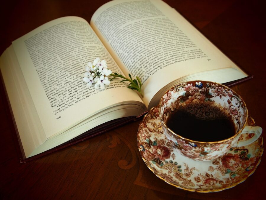 KNIHOMOLSKÉ OKÉNKO, aneb spisovatelé a básníci narozeni 26. února 2602