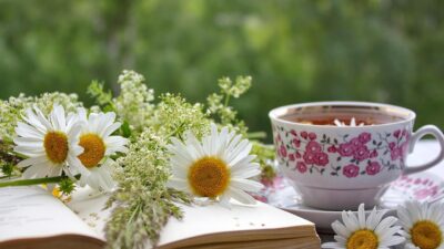 KNIHOMOLSKÉ OKÉNKO, aneb spisovatelé a básníci narozeni 27. února