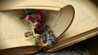 KNIHOMOLSKÉ OKÉNKO, aneb spisovatelé a básníci narozeni 27. ledna