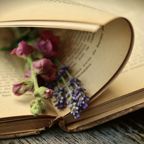 KNIHOMOLSKÉ OKÉNKO, aneb spisovatelé a básníci narozeni 27. ledna