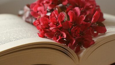 KNIHOMOLSKÉ OKÉNKO, aneb spisovatelé a básníci narozeni 28. února