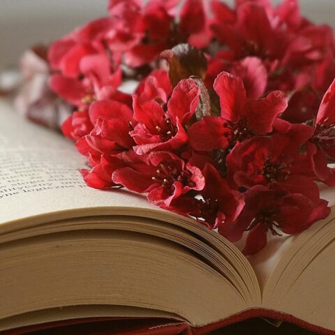 KNIHOMOLSKÉ OKÉNKO, aneb spisovatelé a básníci narozeni 28. února