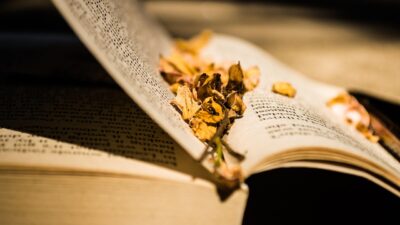 KNIHOMOLSKÉ OKÉNKO, aneb spisovatelé a básníci narozeni 28. ledna