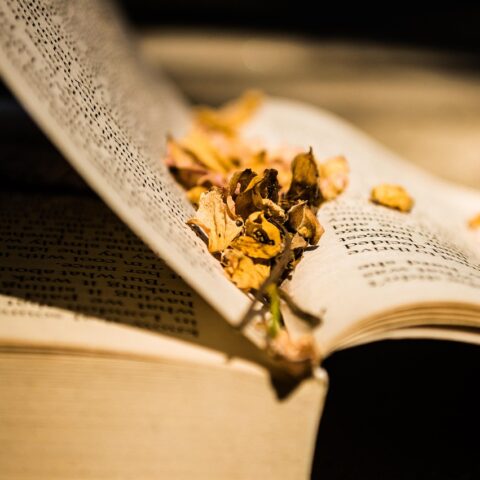 KNIHOMOLSKÉ OKÉNKO, aneb spisovatelé a básníci narozeni 28. ledna