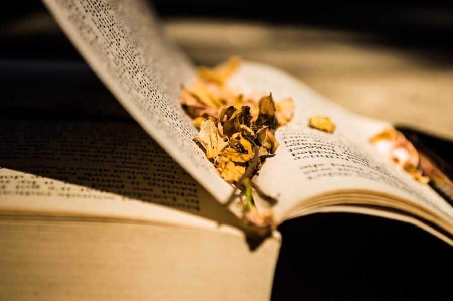 KNIHOMOLSKÉ OKÉNKO, aneb spisovatelé a básníci narozeni 28. ledna 281