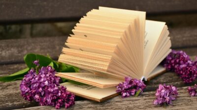 KNIHOMOLSKÉ OKÉNKO, aneb spisovatelé a básníci narozeni 29. února