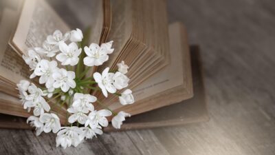 KNIHOMOLSKÉ OKÉNKO, aneb spisovatelé a básníci narozeni 30. ledna