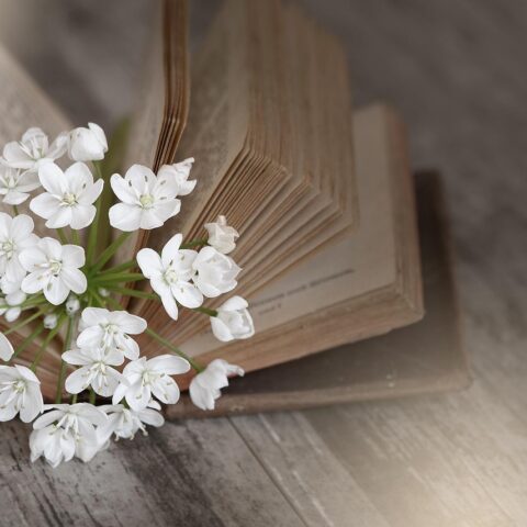 KNIHOMOLSKÉ OKÉNKO, aneb spisovatelé a básníci narozeni 30. ledna