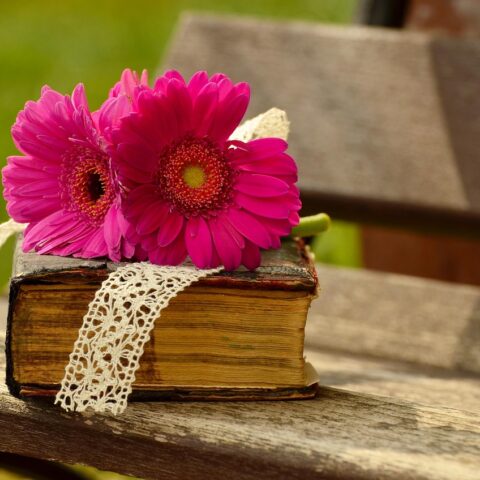 KNIHOMOLSKÉ OKÉNKO, aneb spisovatelé a básníci narozeni 31. ledna