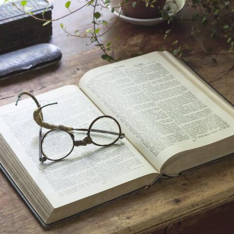 Knihomolské okénko, aneb spisovatelé a básníci narozeni 11. ledna