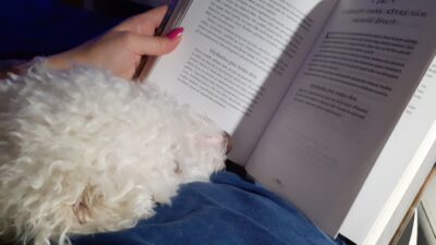 Knihomolské okénko, aneb spisovatelé a básníci narozeni 20. ledna