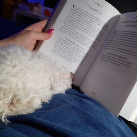 Knihomolské okénko, aneb spisovatelé a básníci narozeni 20. ledna