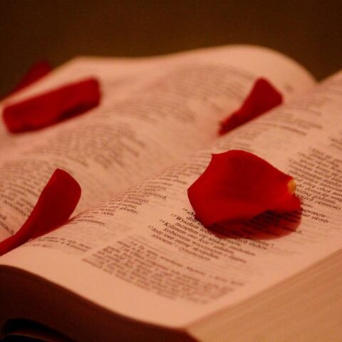 Knihomolské okénko, aneb spisovatelé a básníci narozeni 19. ledna