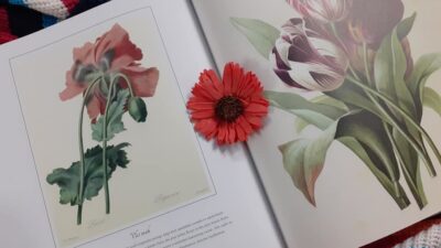 Knihomolské okénko, aneb spisovatelé a básníci narozeni 15. ledna