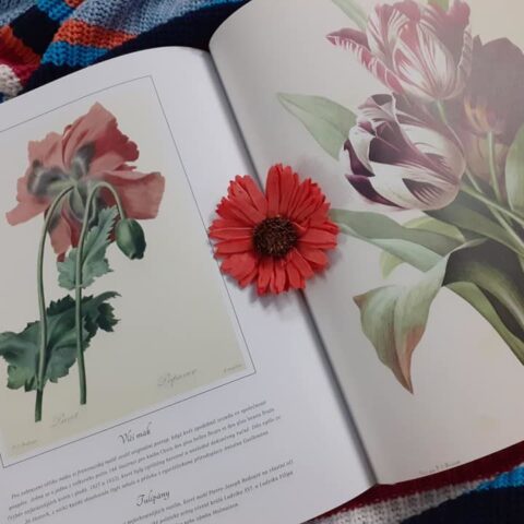 Knihomolské okénko, aneb spisovatelé a básníci narozeni 15. ledna