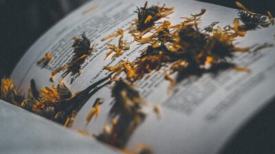 Knihomolské okénko, aneb spisovatelé a básníci narozeni 9. ledna