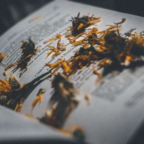 Knihomolské okénko, aneb spisovatelé a básníci narozeni 9. ledna