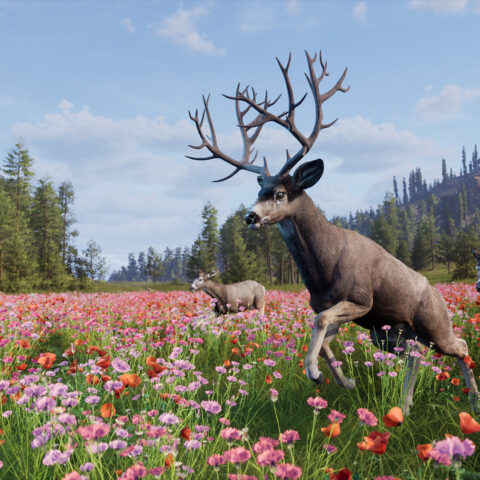 Vyšlo demo hry Way of the Hunter 2