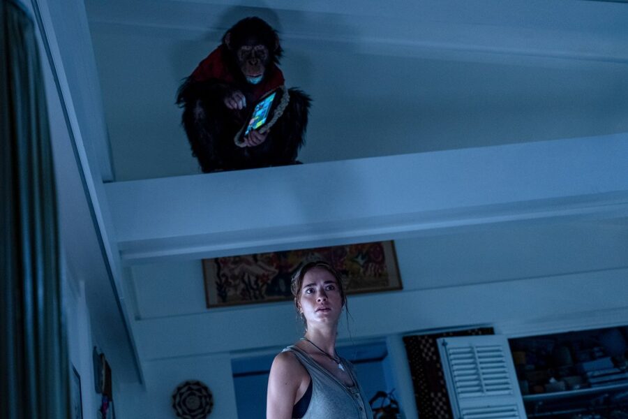 Primát - Horor, ve kterém vraždí inteligentní sadistická opice prm