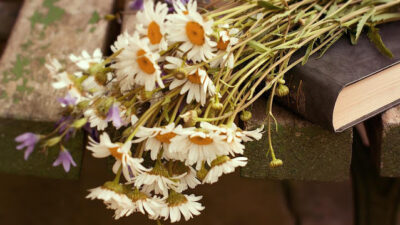 KNIHOMOLSKÉ OKÉNKO, aneb spisovatelé a básníci narozeni 5. dubna