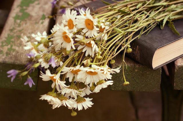 KNIHOMOLSKÉ OKÉNKO, aneb spisovatelé a básníci narozeni 5. dubna 0504