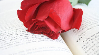 KNIHOMOLSKÉ OKÉNKO, aneb spisovatelé a básníci narozeni 10. dubna