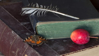 KNIHOMOLSKÉ OKÉNKO, aneb spisovatelé a básníci narozeni 11. dubna