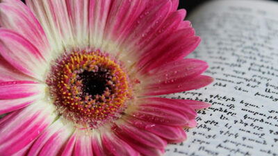 KNIHOMOLSKÉ OKÉNKO, aneb spisovatelé a básníci narozeni 12. dubna