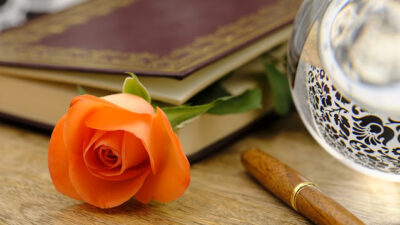 KNIHOMOLSKÉ OKÉNKO, aneb spisovatelé a básníci narozeni 15. dubna