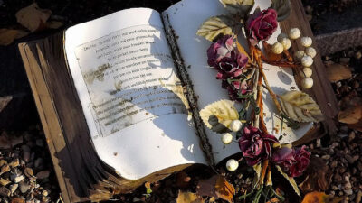 KNIHOMOLSKÉ OKÉNKO, aneb spisovatelé a básníci narozeni 17. dubna